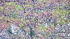 takano4-20250516072055.jpg