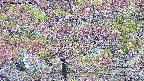 takano4-20250516073056.jpg
