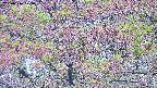 takano4-20250516075057.jpg