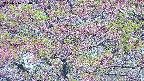 takano4-20250516080059.jpg