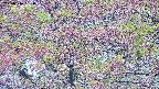 takano4-20250516081056.jpg