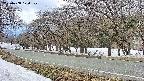 takano5-20250408120108.jpg