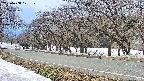 takano5-20250408121110.jpg