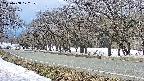 takano5-20250408122110.jpg