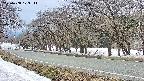 takano5-20250408123112.jpg