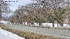 takano5-20250408124111.jpg