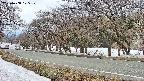 takano5-20250408125109.jpg