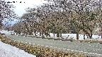 takano5-20250408130109.jpg