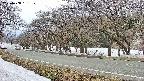 takano5-20250408131110.jpg