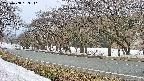 takano5-20250408133111.jpg