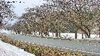 takano5-20250408134109.jpg