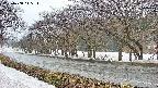 takano5-20250408145113.jpg