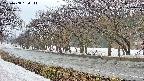 takano5-20250408154113.jpg