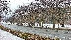 takano5-20250408162112.jpg
