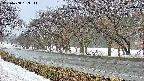takano5-20250408163112.jpg