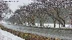takano5-20250408175111.jpg