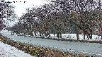 takano5-20250409052111.jpg