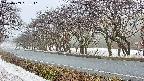 takano5-20250409061111.jpg