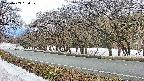 takano5-20250409080109.jpg