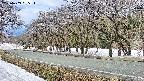 takano5-20250409095113.jpg