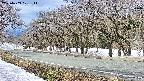 takano5-20250409101112.jpg