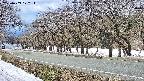 takano5-20250409122113.jpg