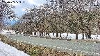 takano5-20250409123113.jpg