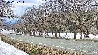 takano5-20250409125113.jpg