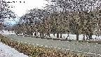 takano5-20250409163113.jpg