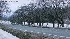 takano5-20250409182112.jpg