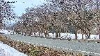 takano5-20250410051110.jpg