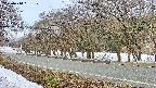 takano5-20250410061110.jpg