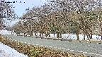 takano5-20250410065110.jpg
