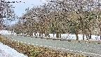 takano5-20250410072110.jpg
