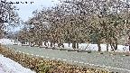takano5-20250410073111.jpg
