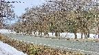 takano5-20250410075110.jpg