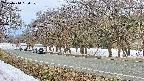 takano5-20250410080111.jpg
