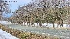 takano5-20250410084114.jpg