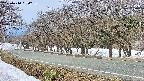 takano5-20250410090735.jpg