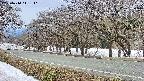 takano5-20250410111112.jpg