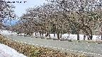 takano5-20250410114113.jpg