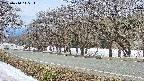 takano5-20250410115114.jpg
