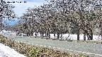 takano5-20250410124114.jpg