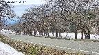 takano5-20250410134114.jpg
