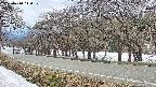 takano5-20250410144112.jpg