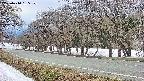 takano5-20250410155112.jpg
