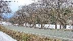takano5-20250410162113.jpg