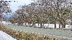 takano5-20250410163113.jpg