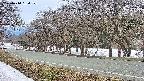 takano5-20250410164113.jpg