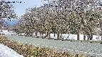 takano5-20250410170112.jpg